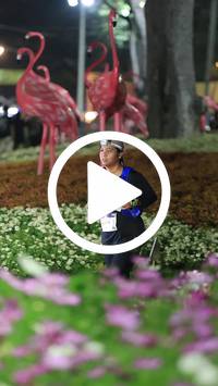 BIB:  <button type="button" onclick="openModal(27589974)" class="btn btn-primary btn-sm float-right" data-toggle="modal" data-target=".modal-high-quality">
                <i class="fa fa-download"></i> Download
                </button>